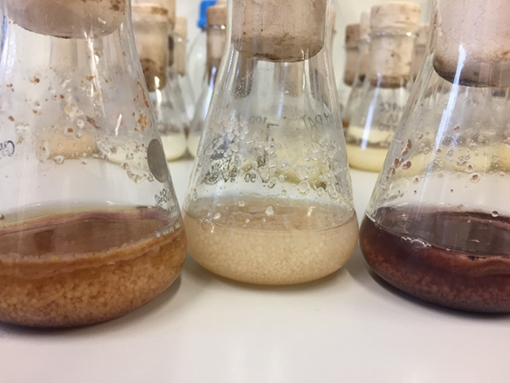 Liquid-state fermentation