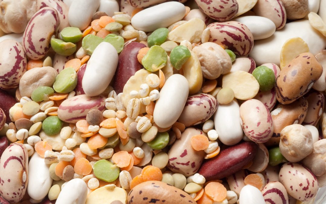 EU needs stronger plant-based food strategy, Smart Protein conference hears