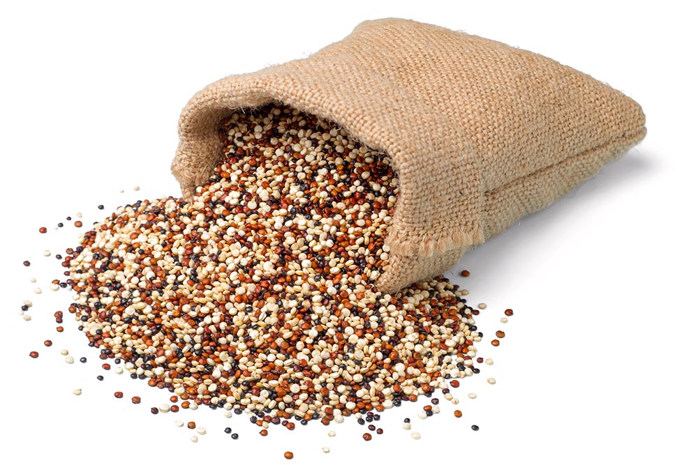 Quinoa: The golden protein grain to gain